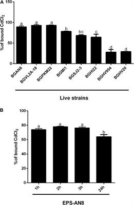 Protective Effect of an Exopolysaccharide Produced by Lactiplantibacillus plantarum BGAN8 Against Cadmium-Induced Toxicity in Caco-2 Cells